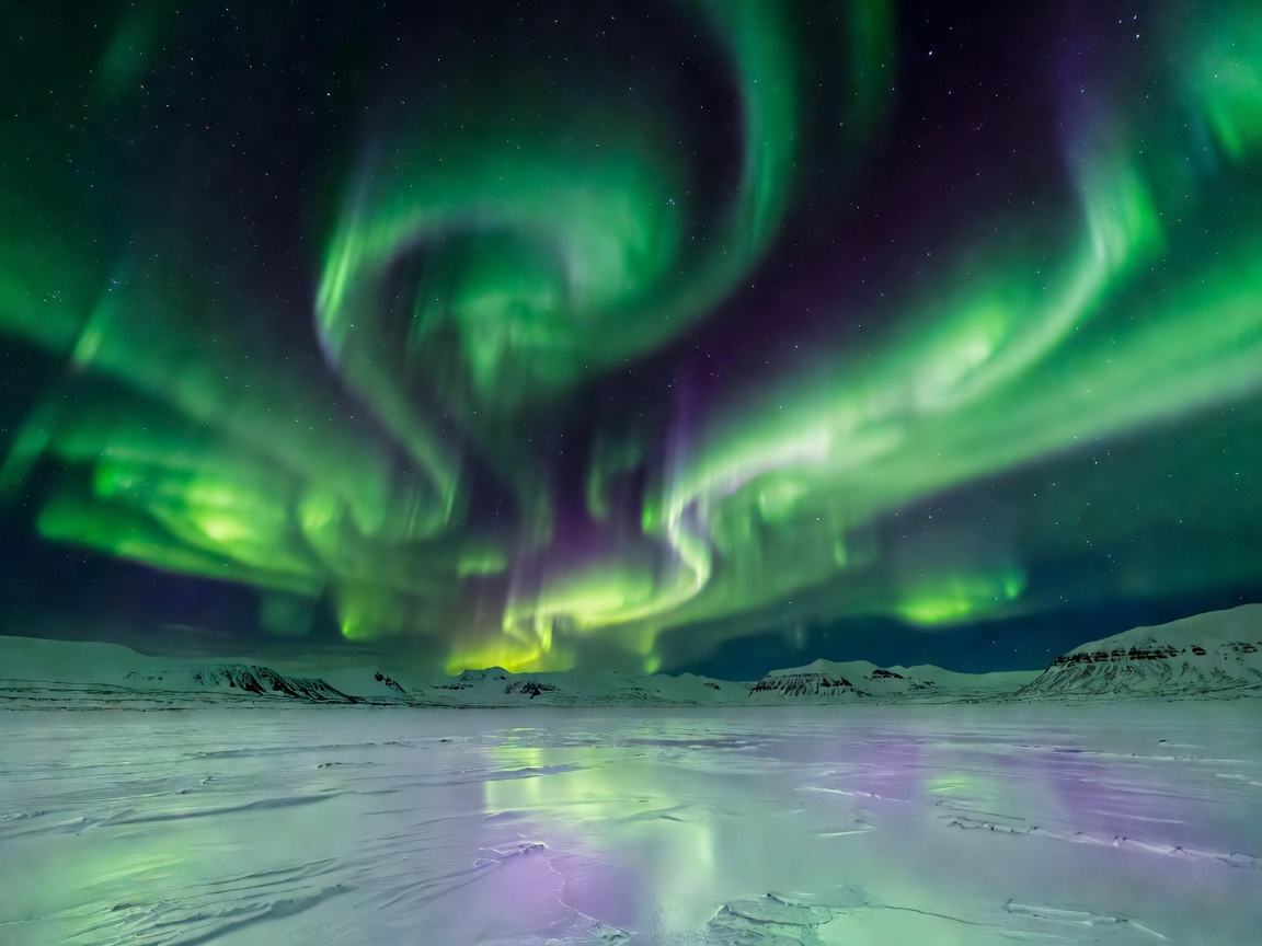 Vibrant green and purple aurora borealis glowing in night polar sky